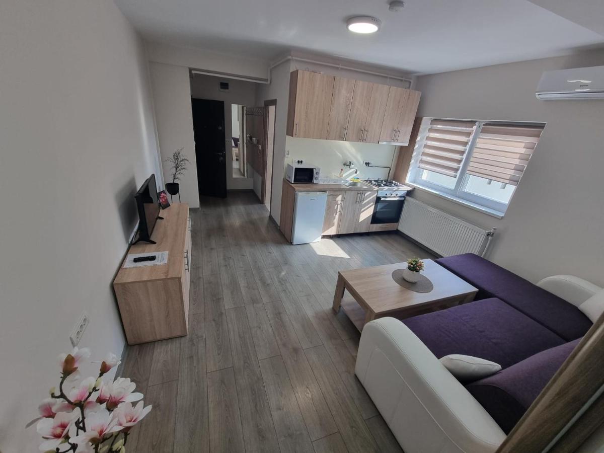 City Premium Apartments Temešvár Exteriér fotografie